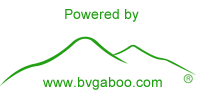 Bvgaboo Estudio de diseño web en san luis potosi